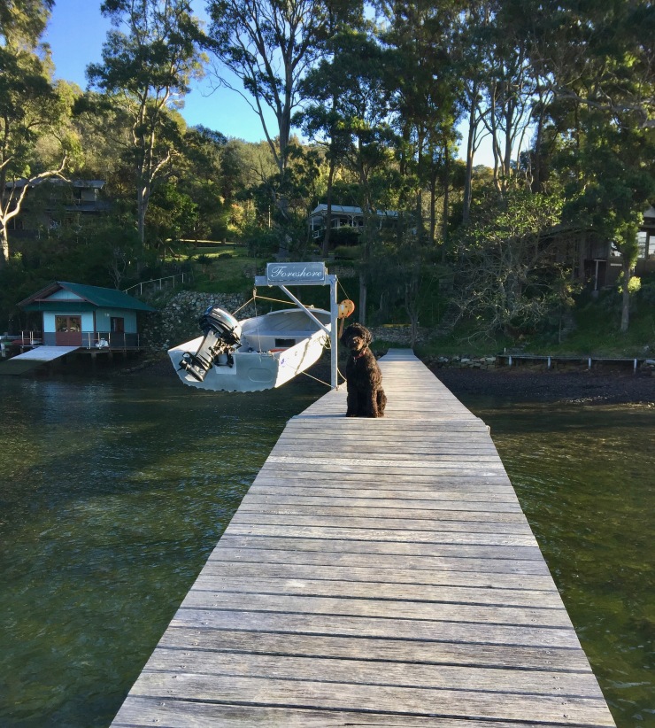 Zelda at Lovett Bay
